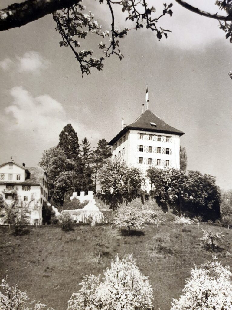Schloss Heidegg von Heidegg