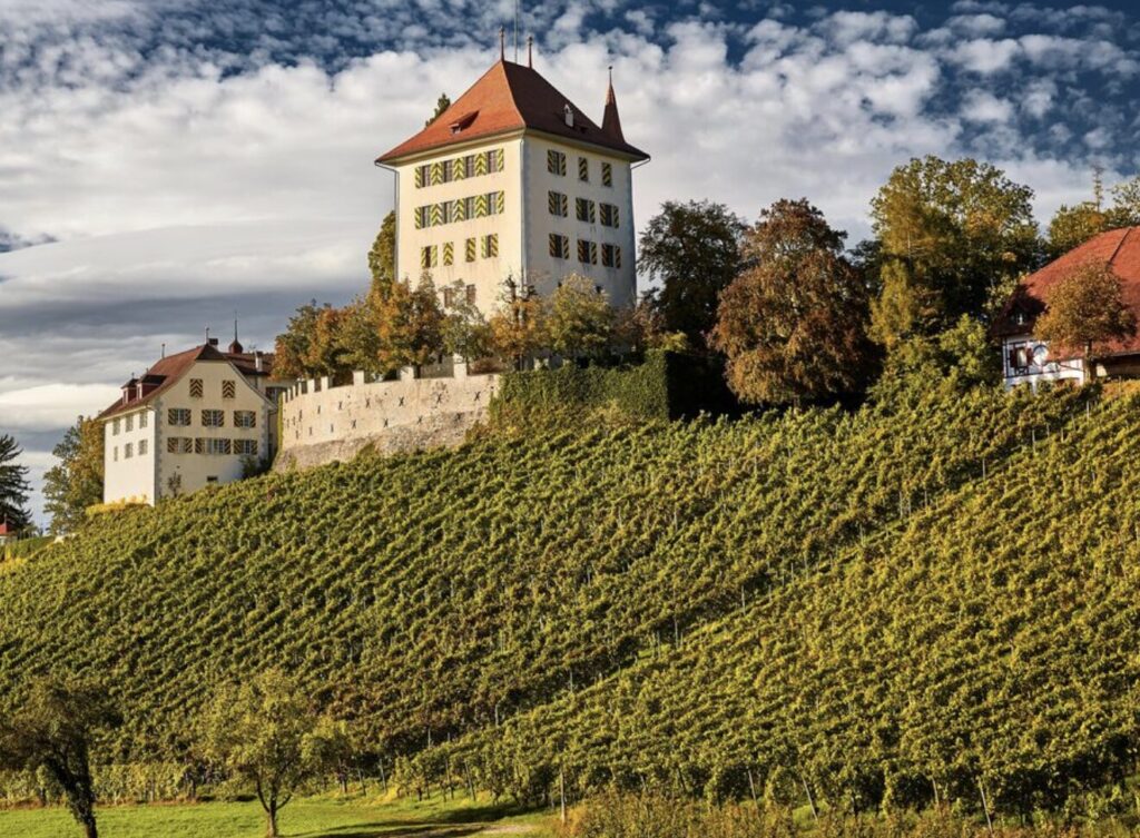 Schloss Heidegg Today